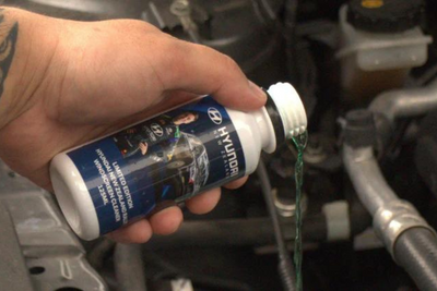 Hyundai NZ Collaborates with Bar's Bugs